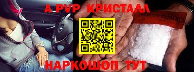 гидра Новозыбков