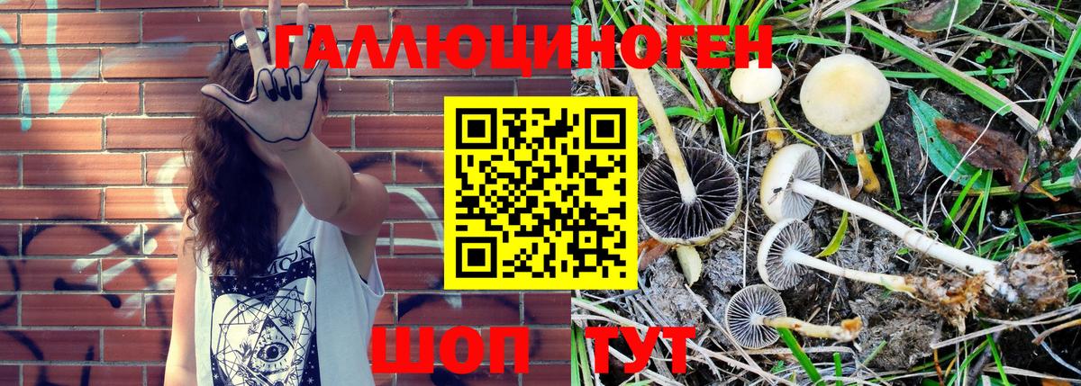 Галлюциногенные грибы Psilocybe  Вход с VPN  Южно-Сахалинск 