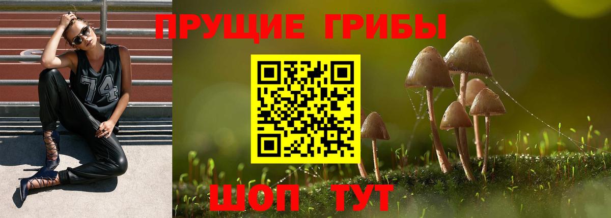 Галлюциногенные грибы MAGIC MUSHROOMS Южно-Сахалинск